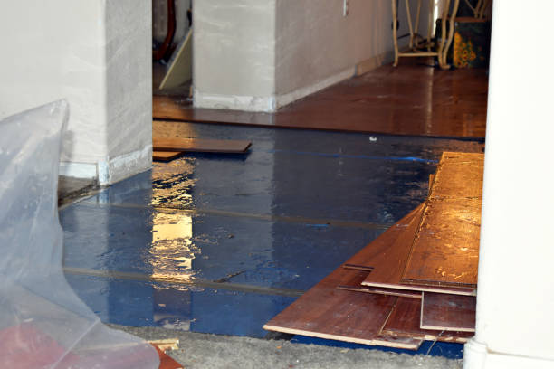 Professional Basement Flooding technician working in Munford, AL